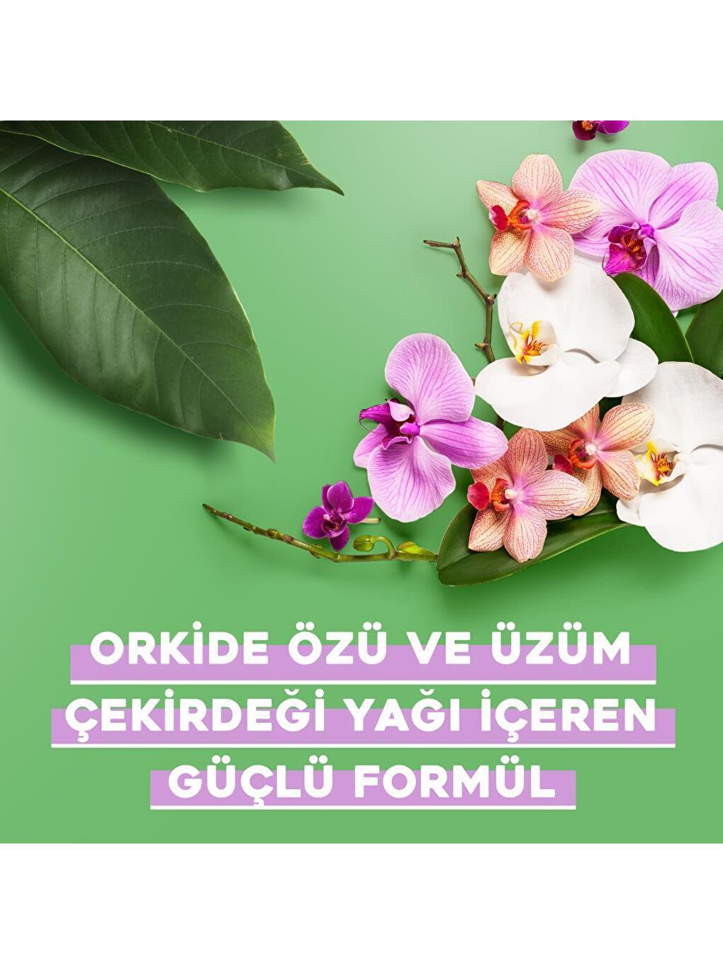 OGX Renksiz Renk Koruyucu Orchid Oil Sülfatsız Saç Bakım Kremi 385 ml - 5