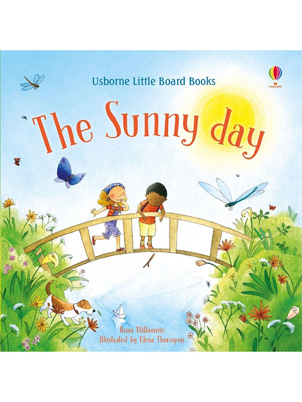 Little Board Books: The Sunny Day