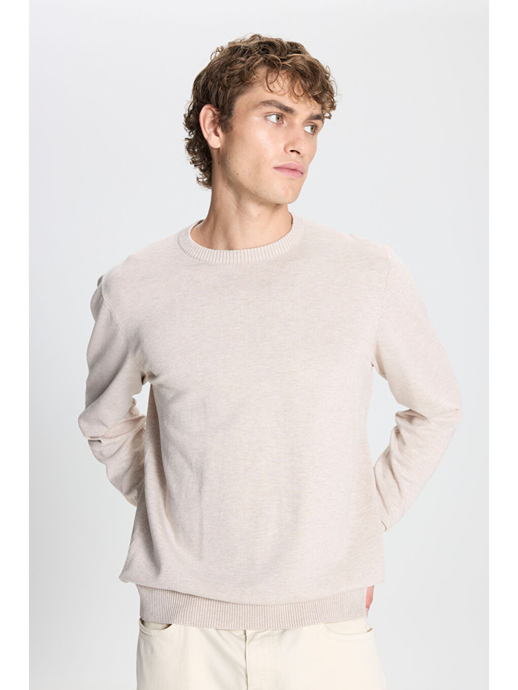 Erkek Bej Melanj Standart Fit Normal Kesim Bisiklet Yaka Triko Kazak-2