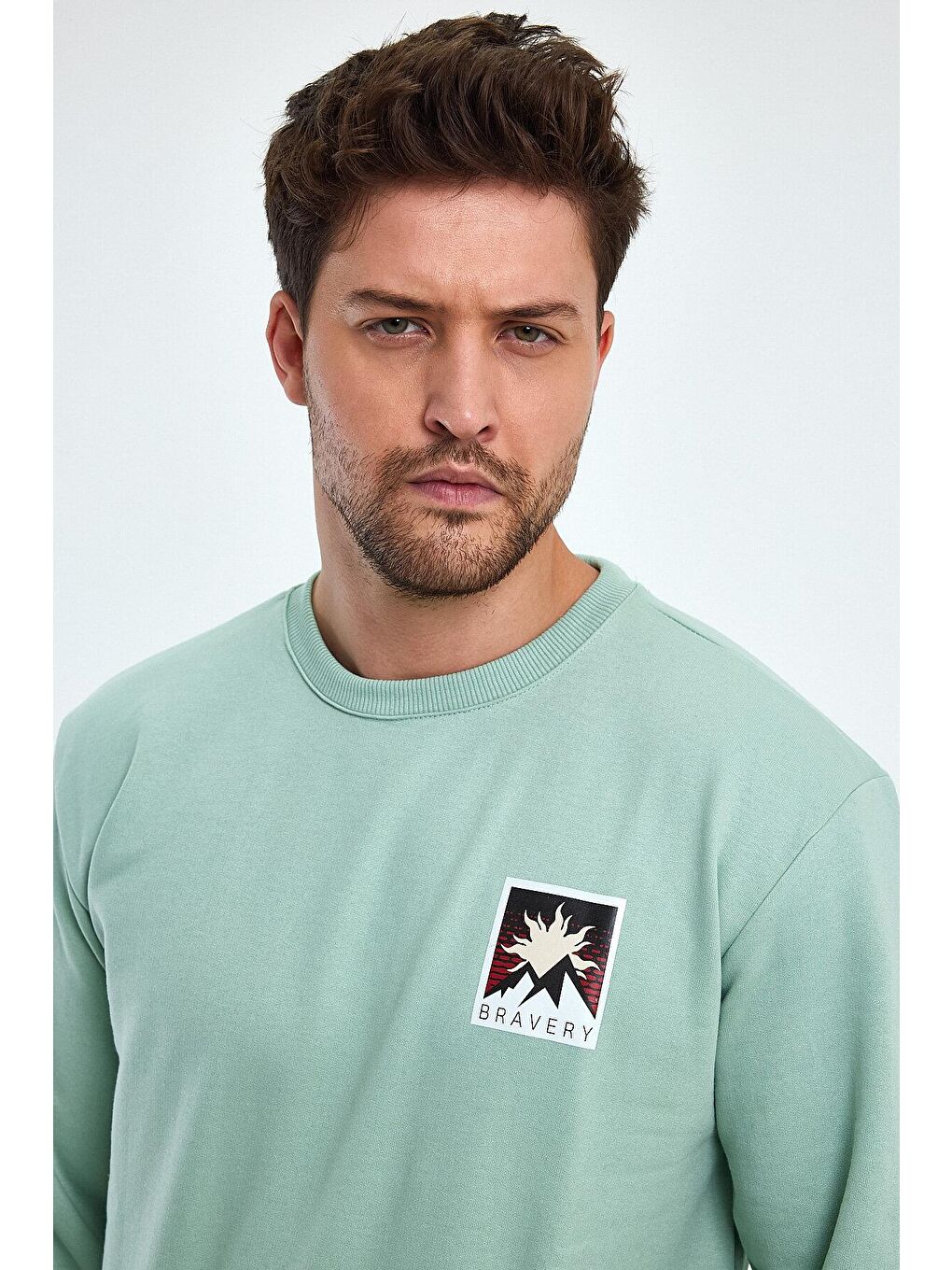 Yeşil Regular Fit Bisiklet Yaka Sırt Baskılı Pamuklu İçi Polarlı Sweatshirt RF0445-4