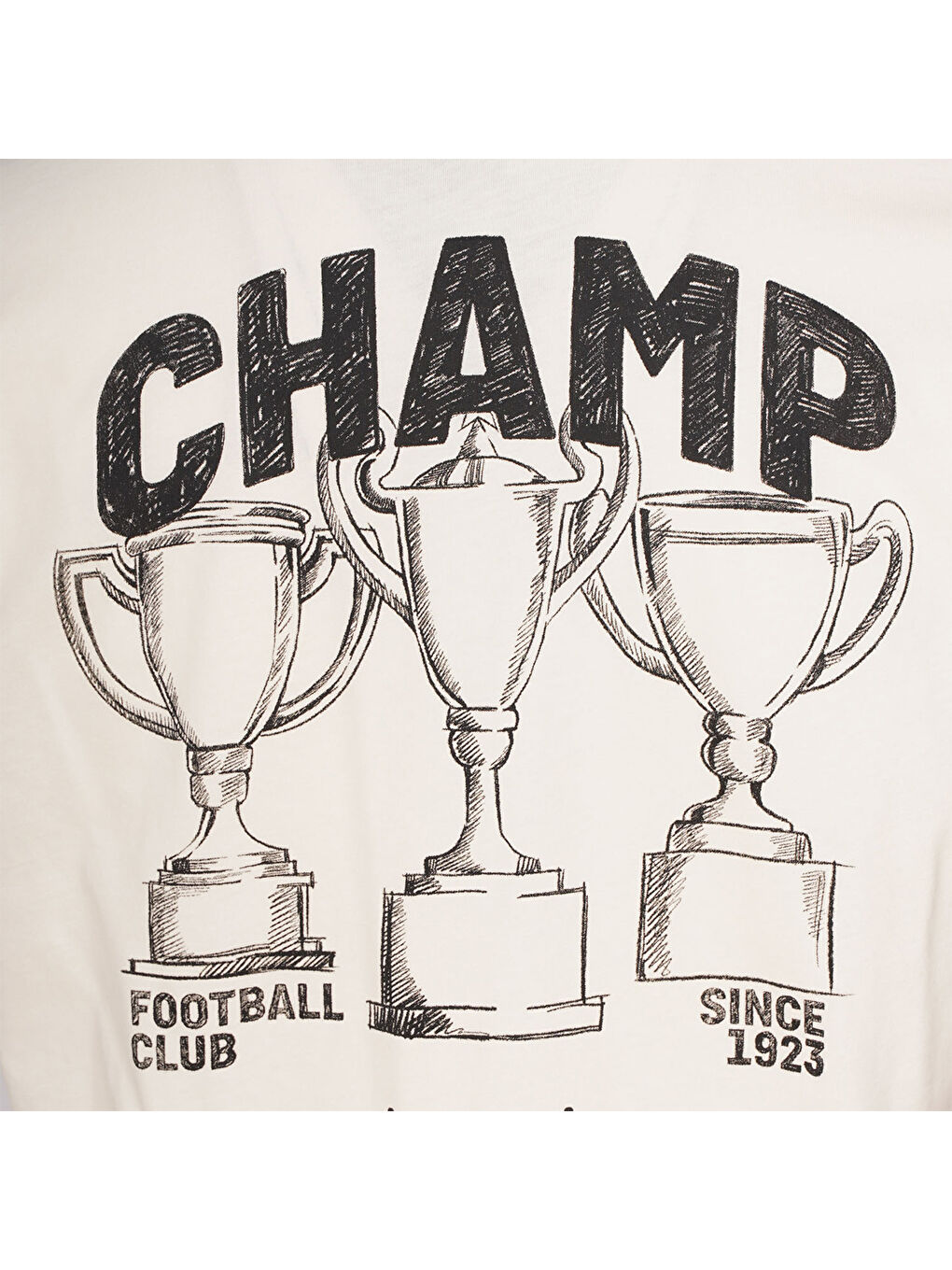 Trinar Erkek Ekru Yuvarlak Yaka Tişört-3