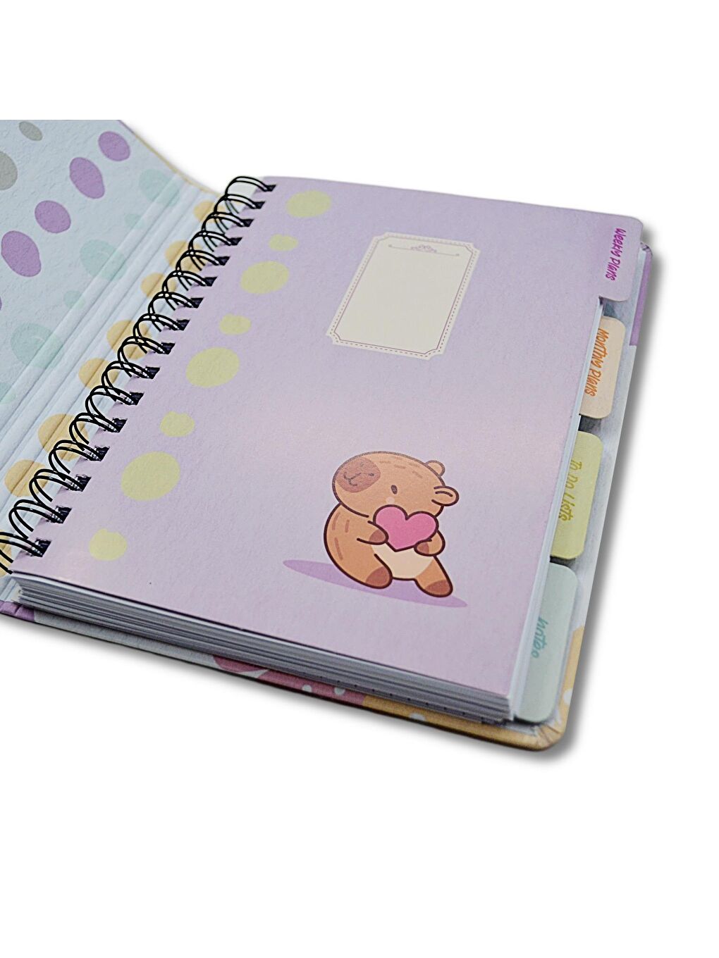 A5 120 Yaprak Sert Kapak Spiralli Lastikli Ayraçlı Planner Defter (7827)-2