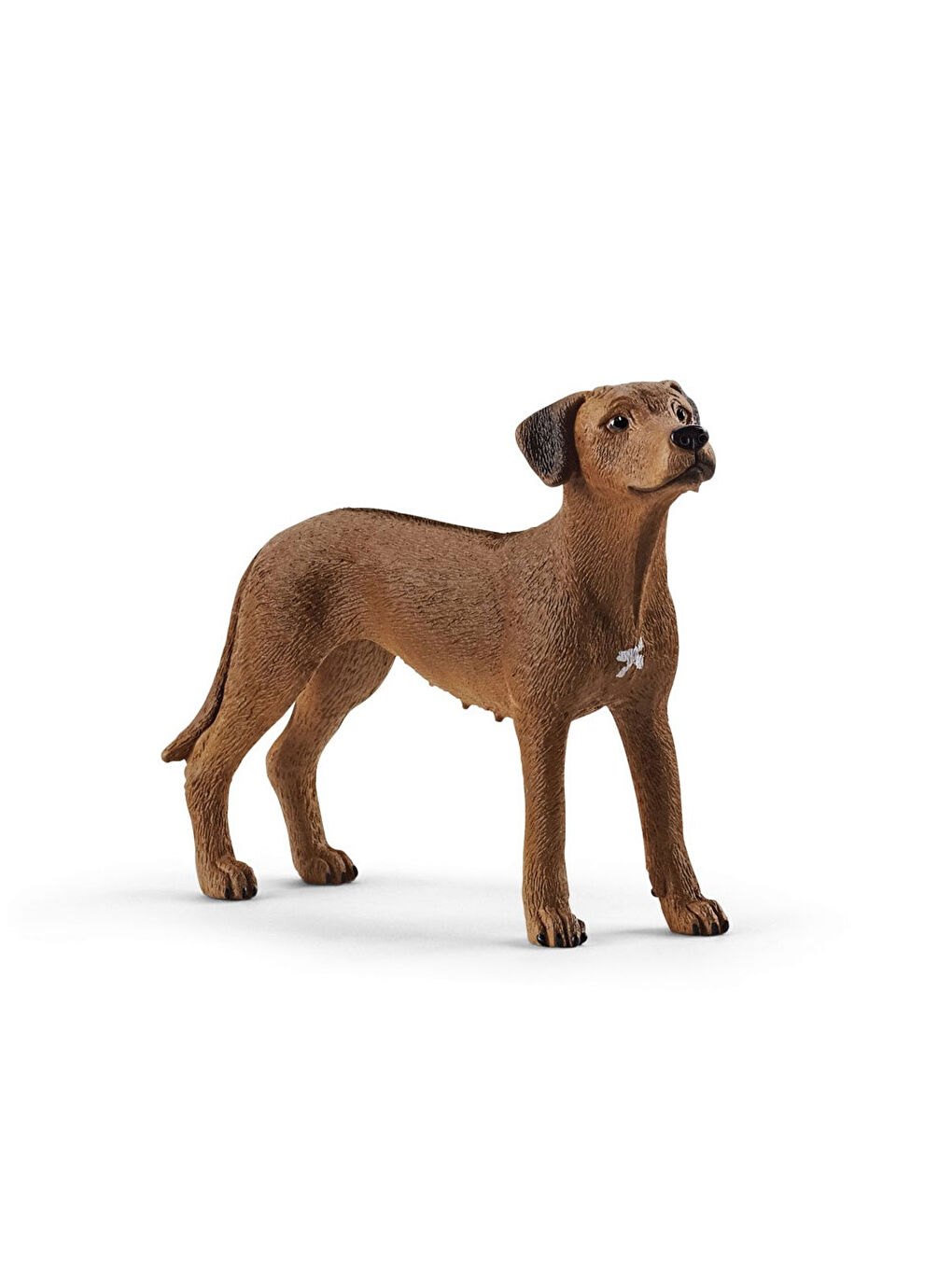 Schleich Renksiz Rodezya Ridgeback Köpek 13895