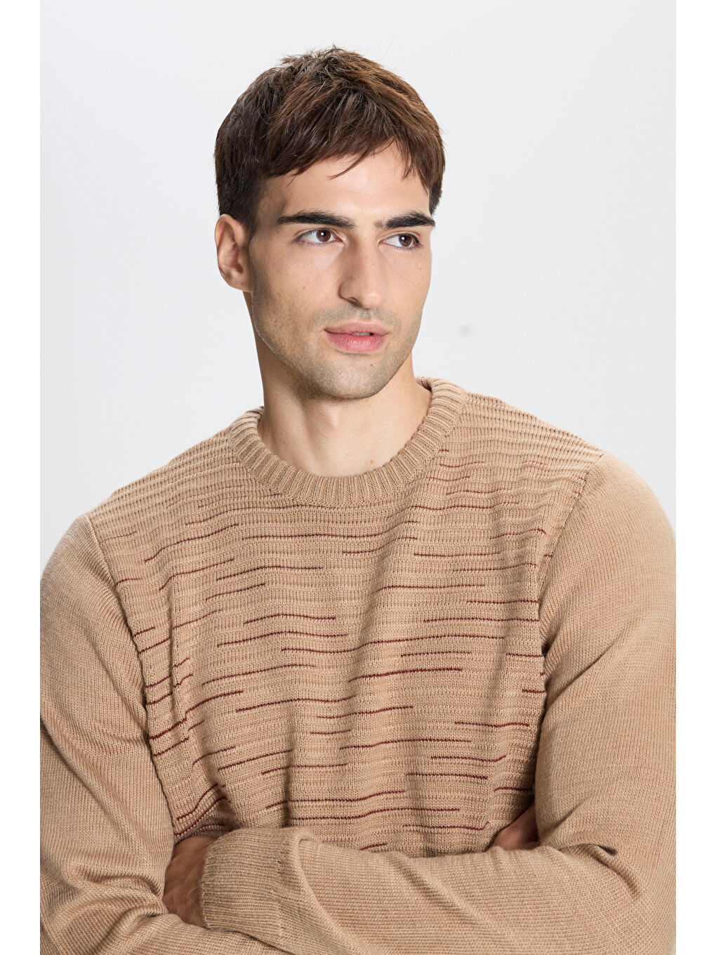 Erkek Bej-Kiremit Standart Fit Normal Kesim Bisiklet Yaka Desenli Triko Kazak-3
