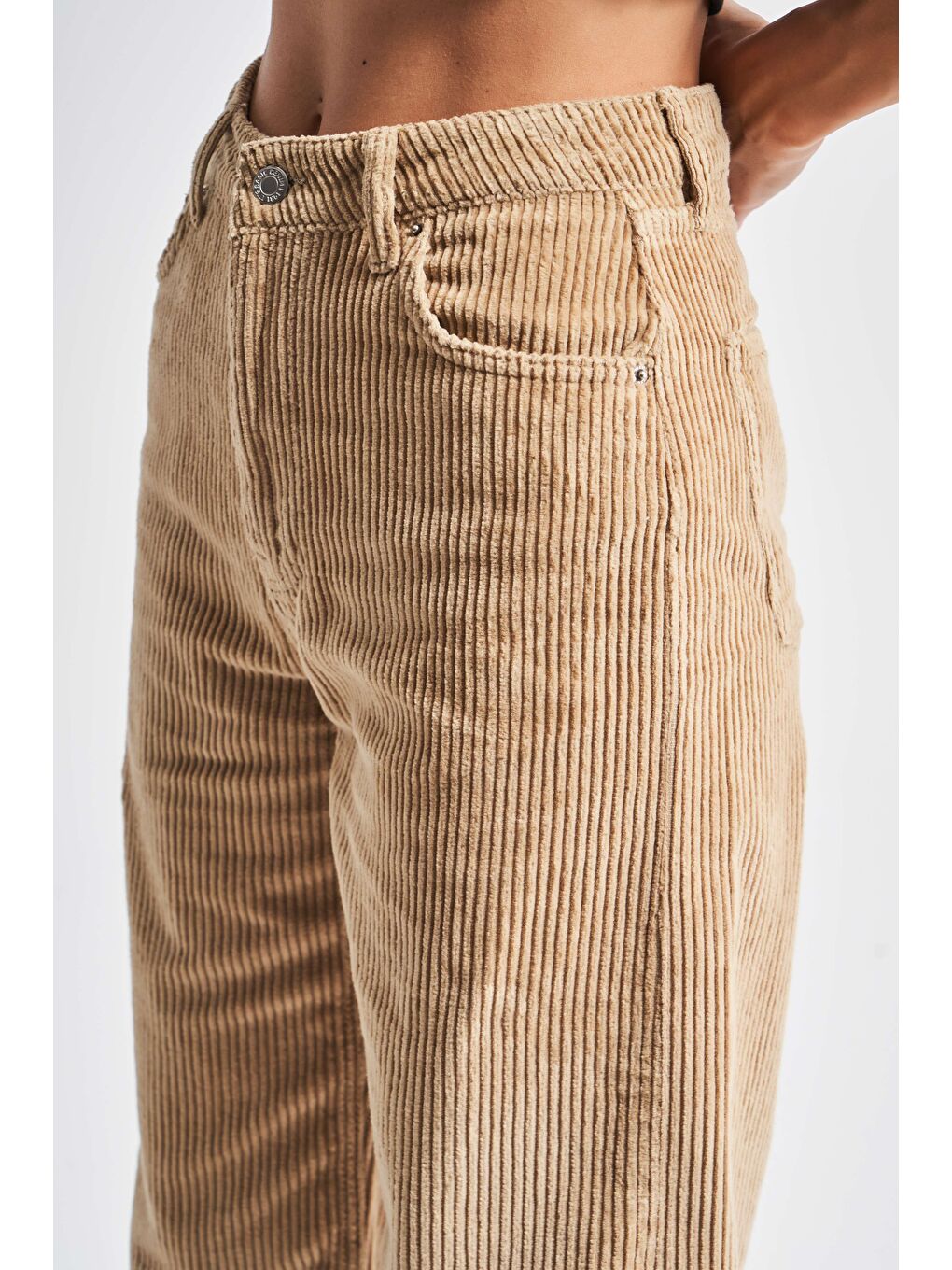 Kahverengi Kadın Sütlü Kahve Renk Doris 26w459 Kalın Fitilli Kadife Kumaş Pantolon-2