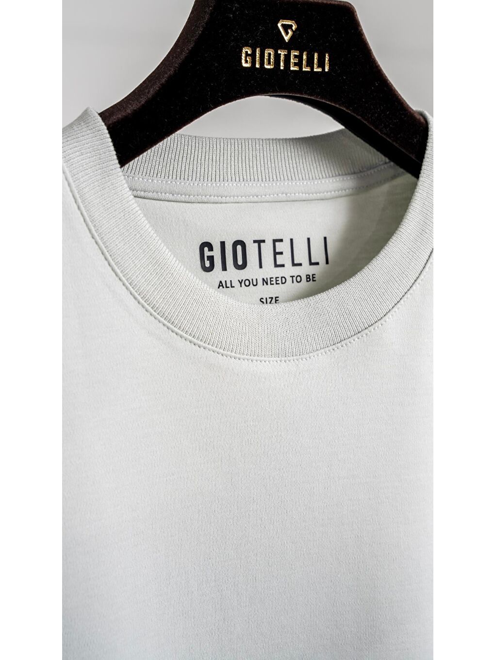 Giotelli Gri Regular Fit %100 Pamuk Bisiklet Yaka Erkek Tişört-2