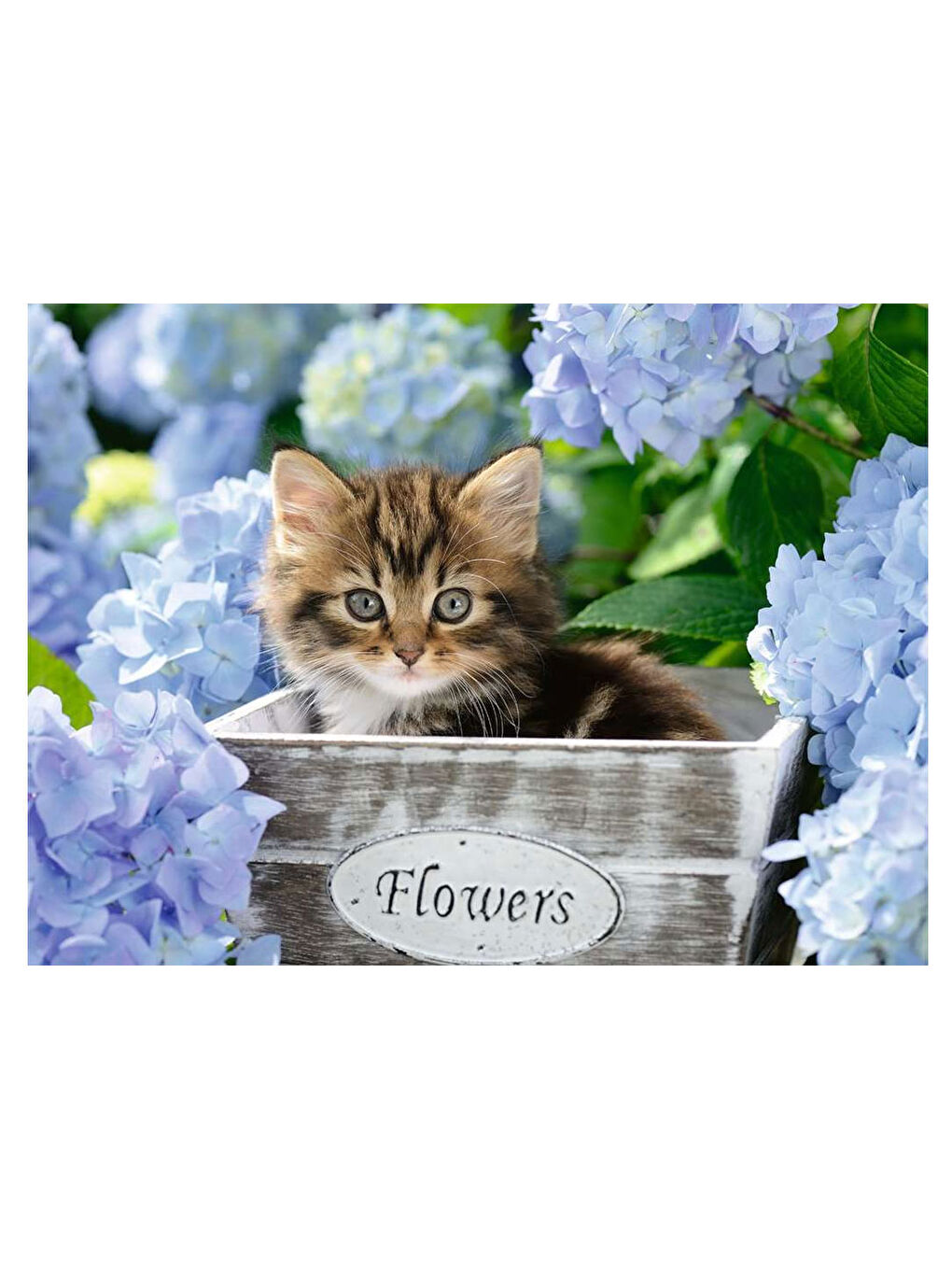 Çocuk Puzzle 300 Parça Kedicik 128945-1