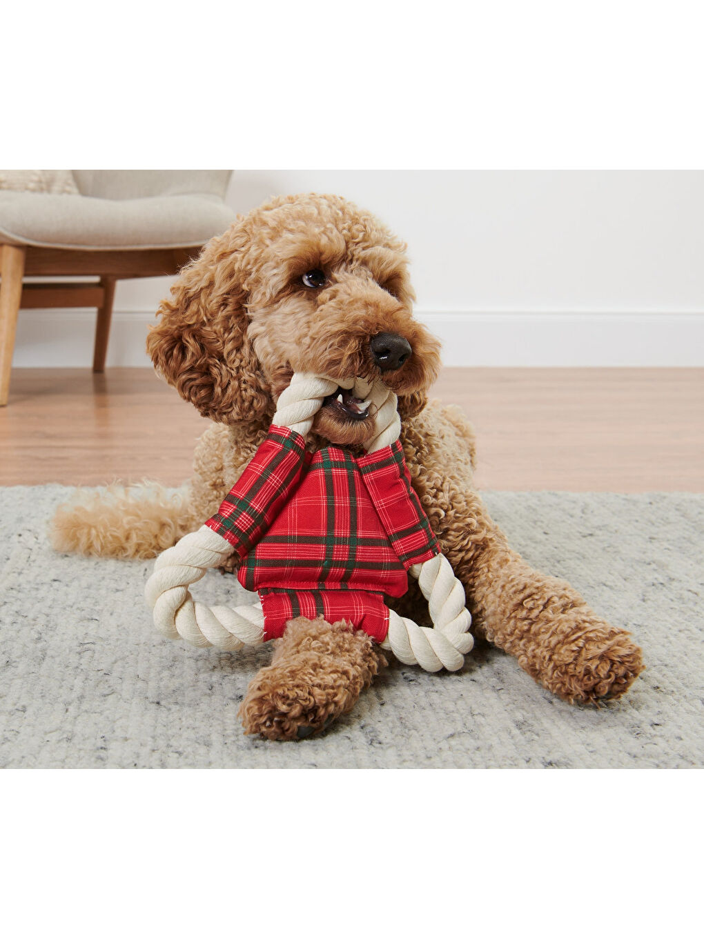 Köpekler İçin İp Oyuncak, Geri Dön. PES-1