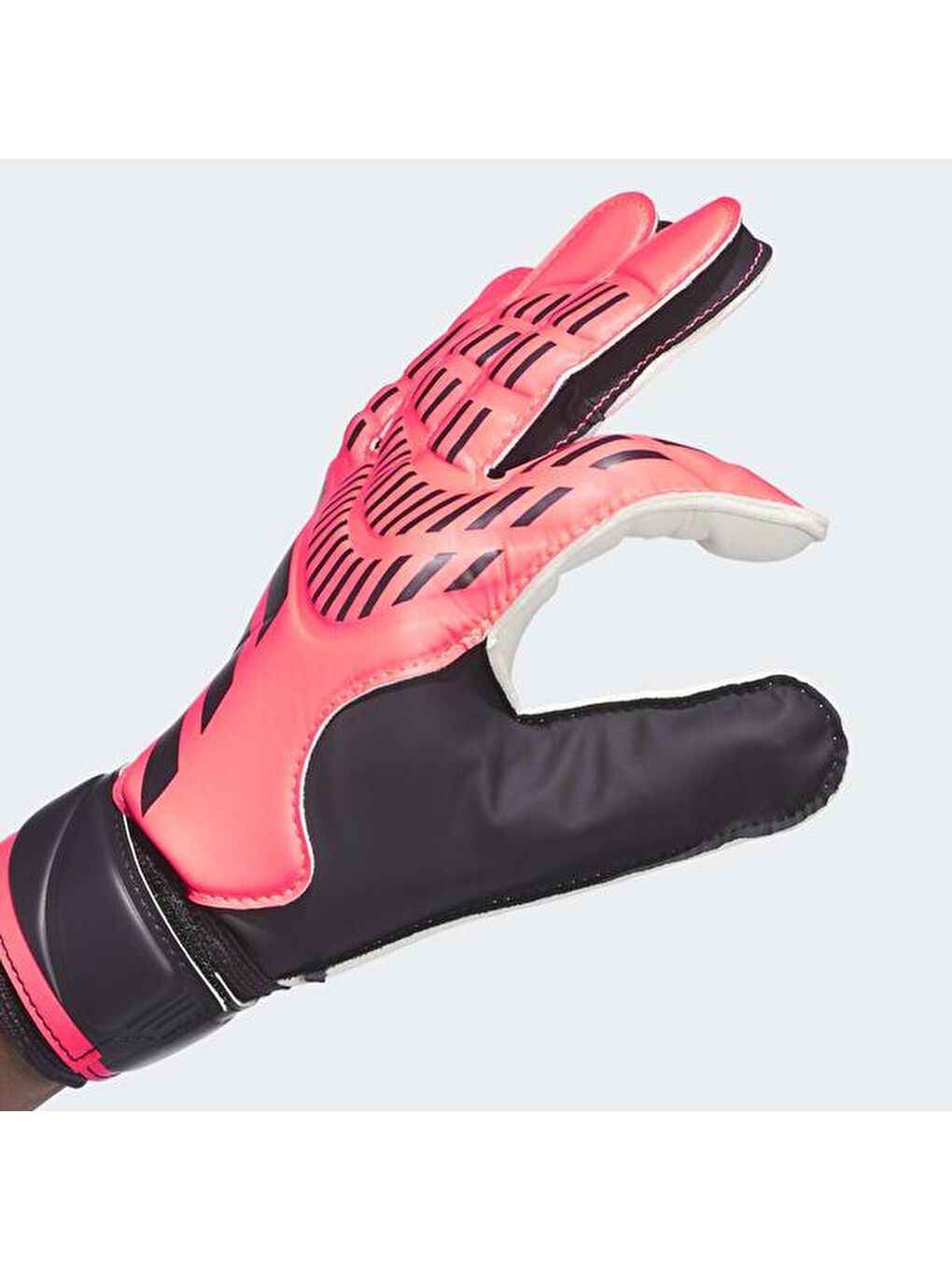 Karışık Predator Gl Trn Kaleci Eldiveni-3