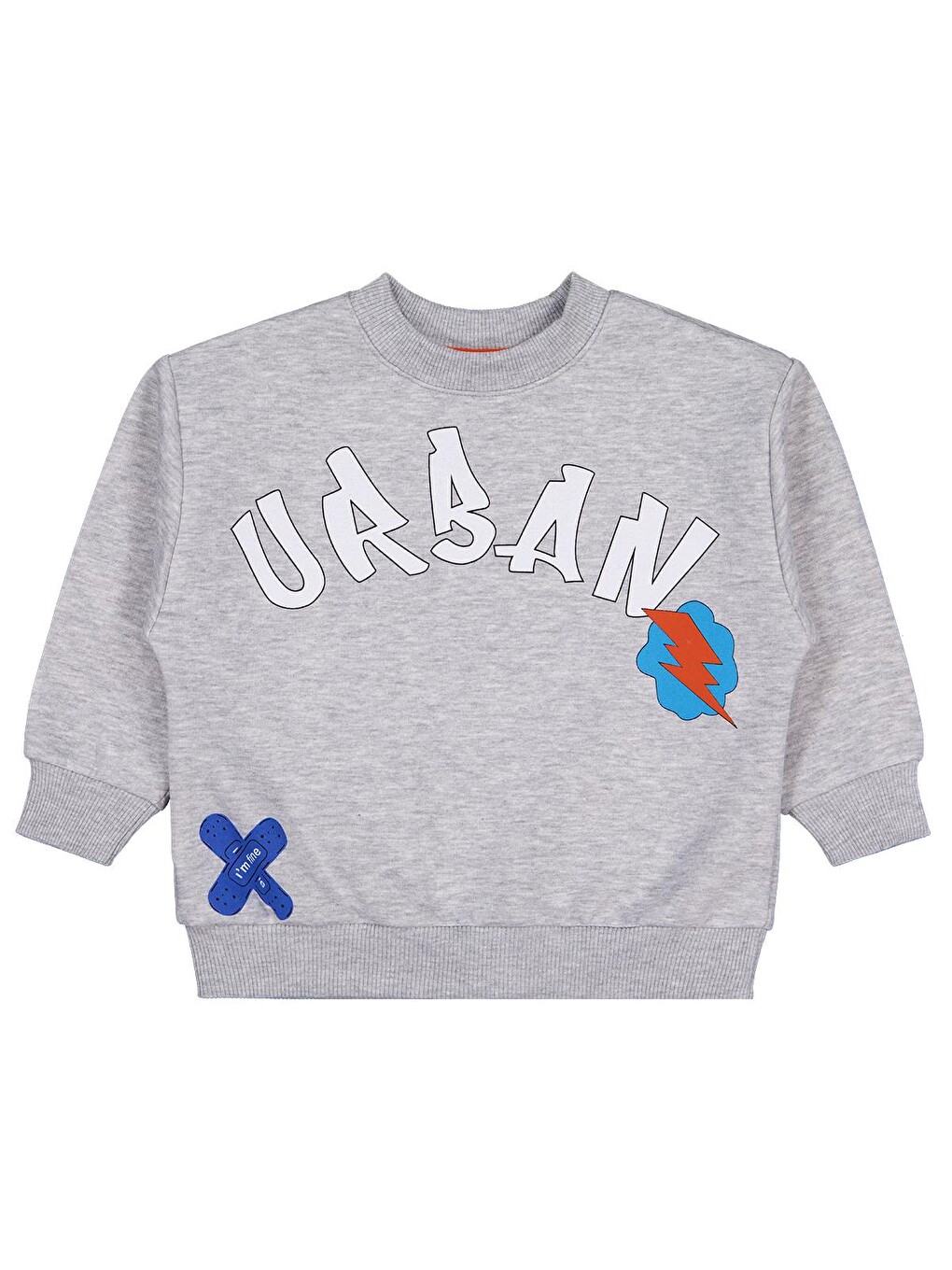 Boys Urban Baskılı 2-5 Yaş Sweatshirt - Gri