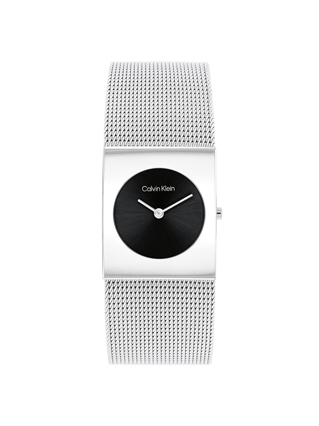 Gri CK25100061 Kadın Kol Saati