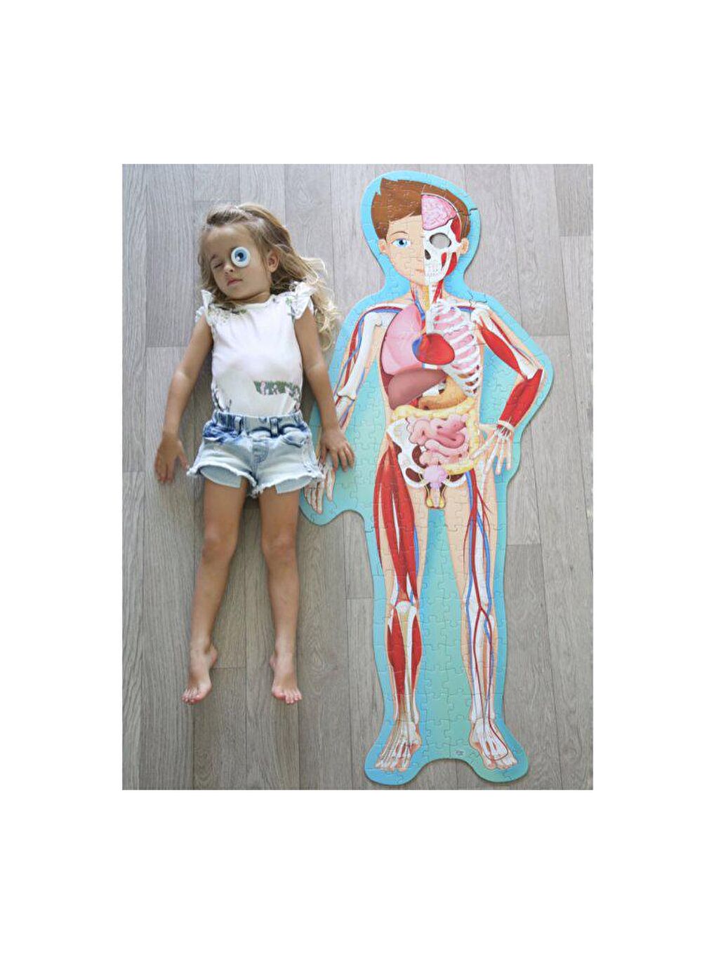 Sassi Renksiz Travel - Learn and Explore - The Human Body - 4