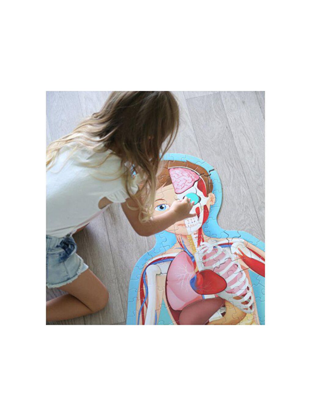 Sassi Renksiz Travel - Learn and Explore - The Human Body - 5