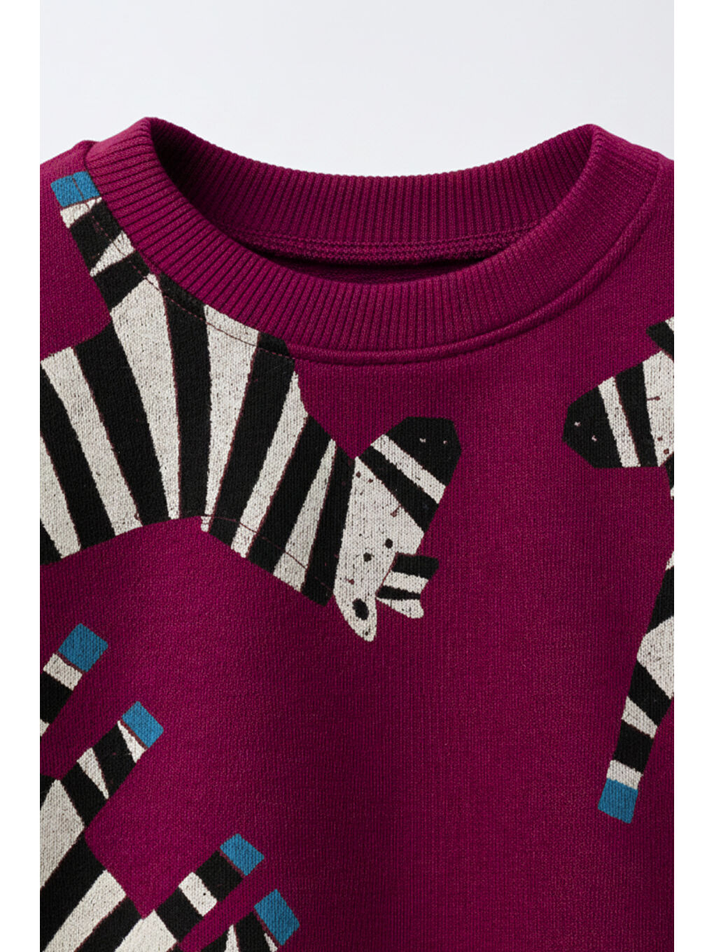 Bordo Erkek Çocuk Zebra Figürlü Eşofman Takımı 2-8 Yaş 12322-2