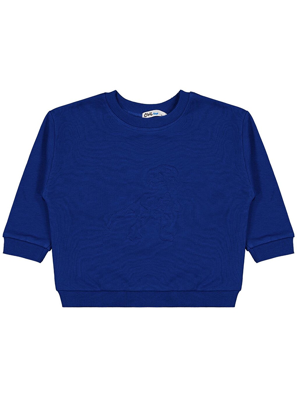 Boys Dinozor Nakışlı 2-5 Yaş Sweatshirt - Mavi