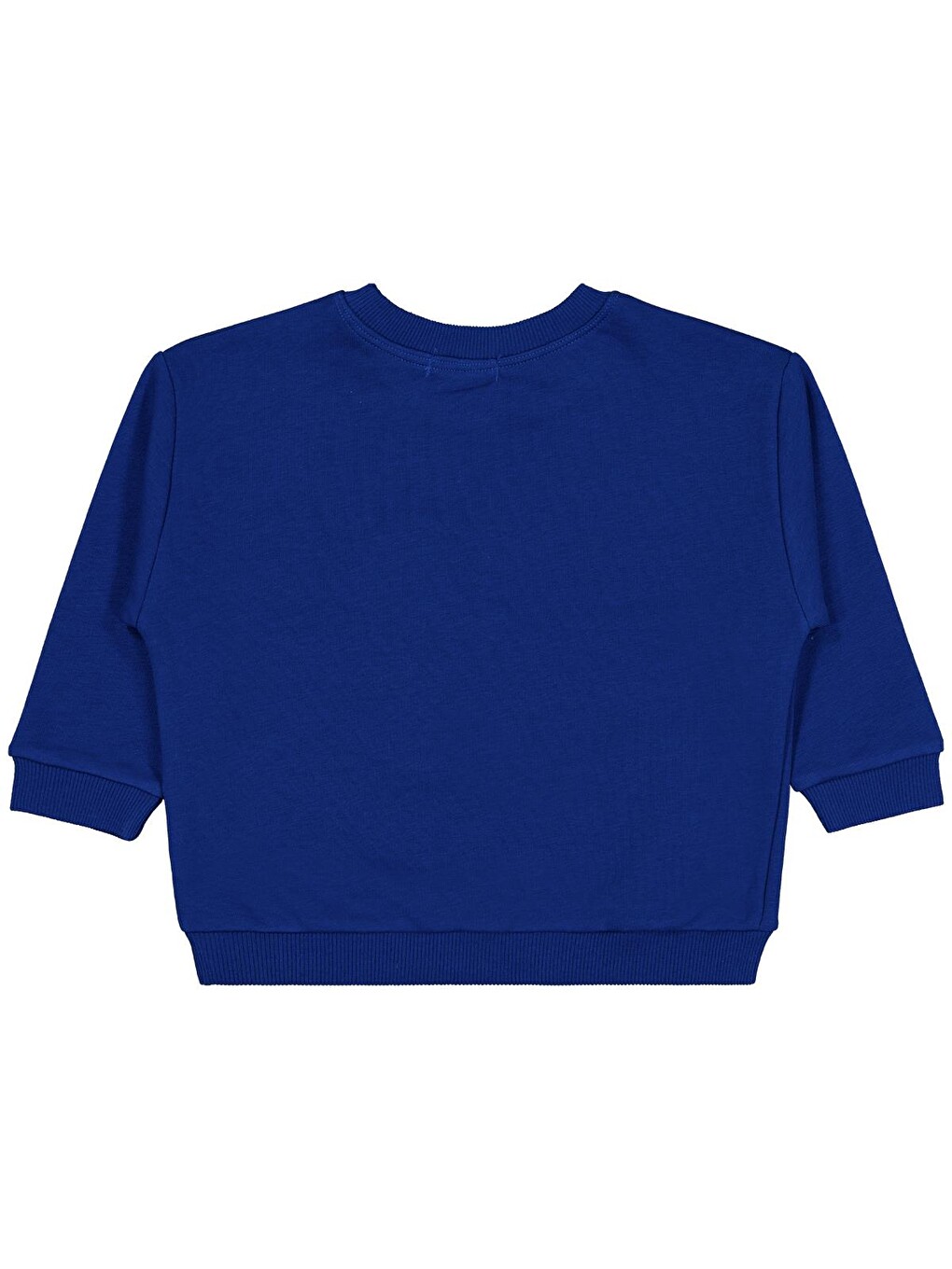 Boys Dinozor Nakışlı 2-5 Yaş Sweatshirt - Mavi-1