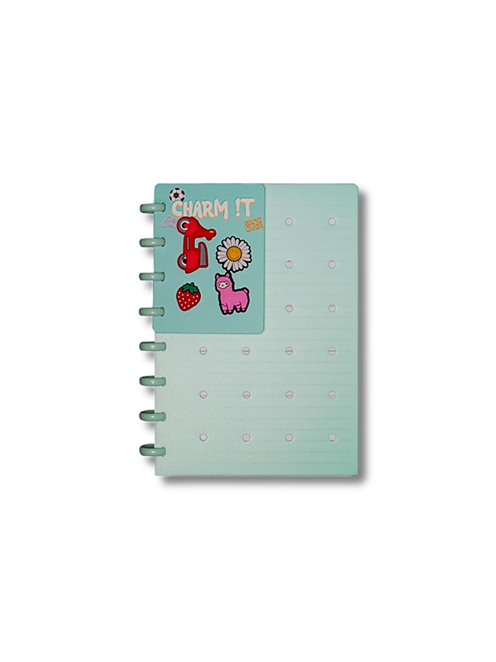 Charm A5 96 Yaprak 80 gr Spiralli Defter Çizgili (12179)