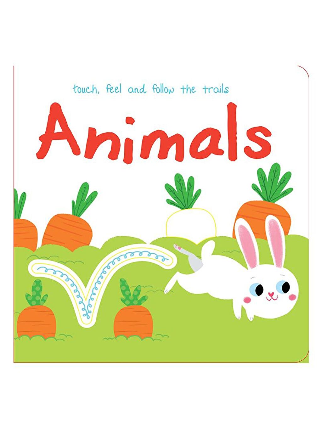 Yoyo Books Renksiz Touch, Feel and Follow the Trails - Animals