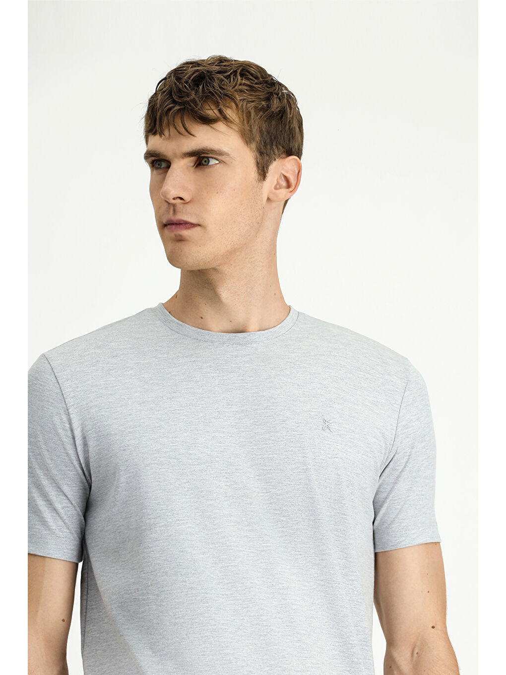 Gri Bisiklet Yaka Slim Fit Dar Kesim Süprem Pamuklu Tişört-2