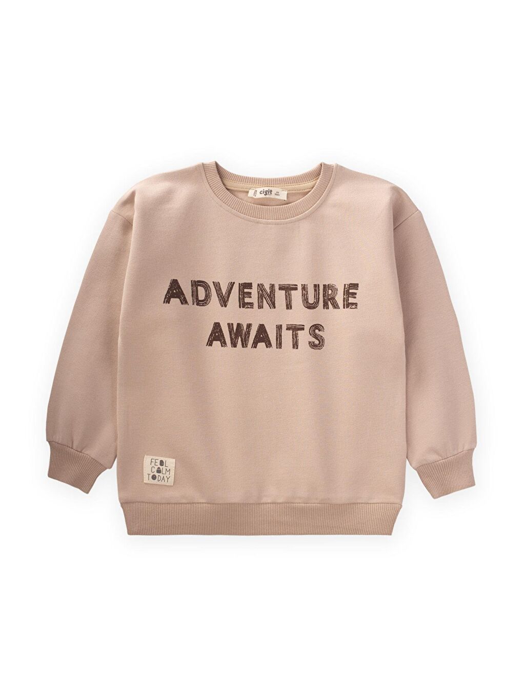 CİGİT Bej Adventure Baskılı Sweatshirt 2-10 Yaş Bej