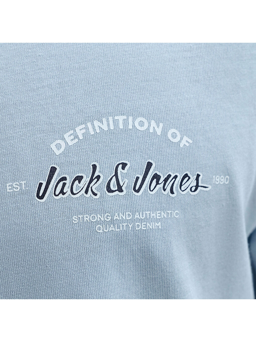 Brandon Erkek Mavi Tişört-3