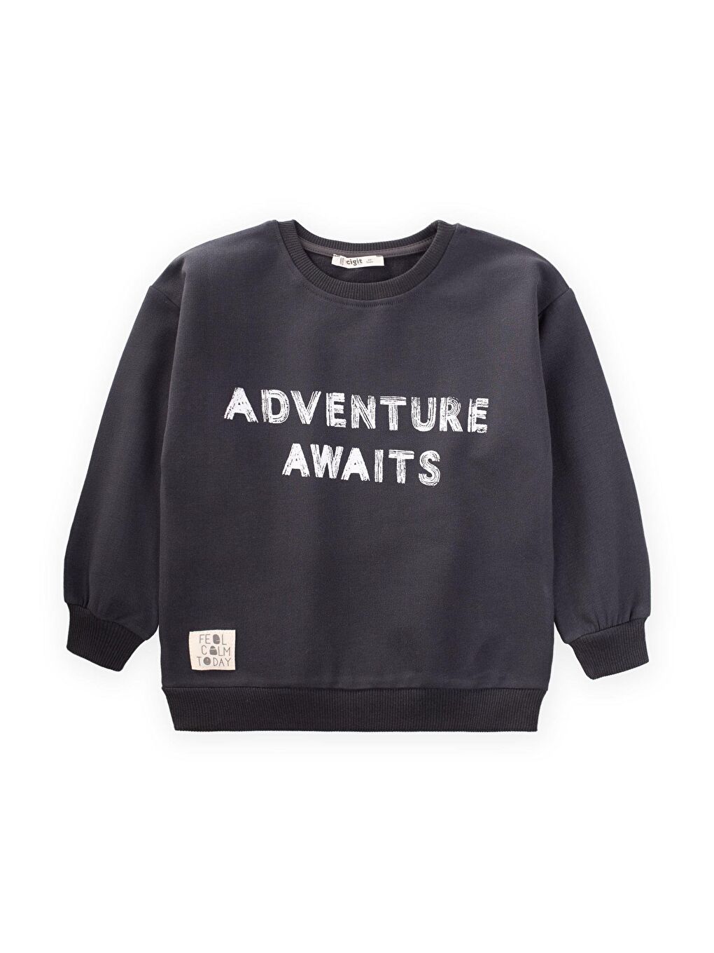 CİGİT Antrasit Adventure Baskılı Sweatshirt 2-10 Yaş Antrasit