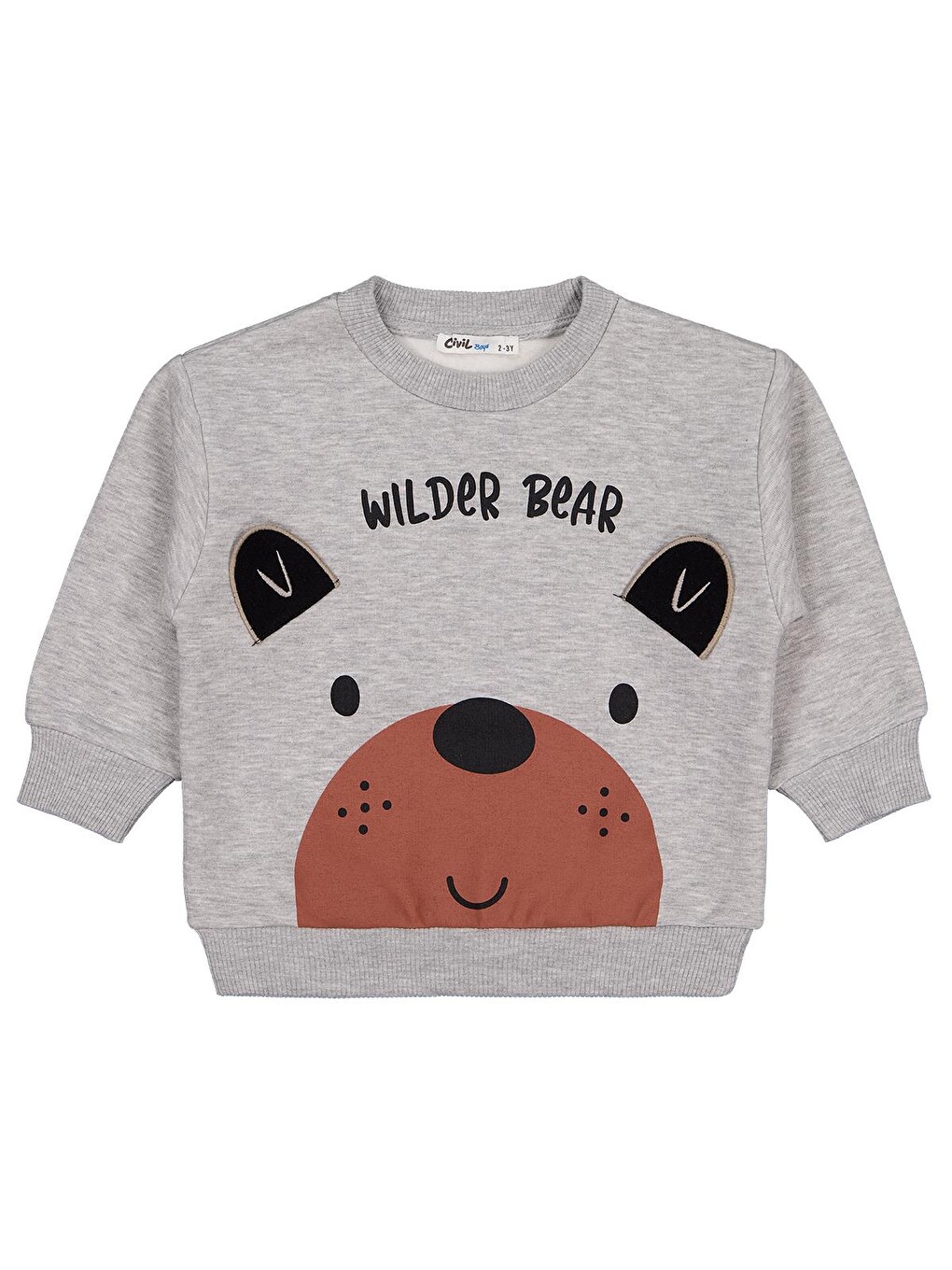 Boys Bear Baskı-Nakışlı 2-5 Yaş Sweatshirt - Gri