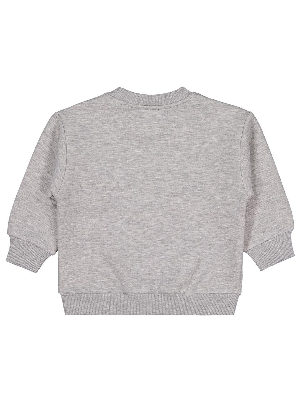Boys Bear Baskı-Nakışlı 2-5 Yaş Sweatshirt - Gri-1
