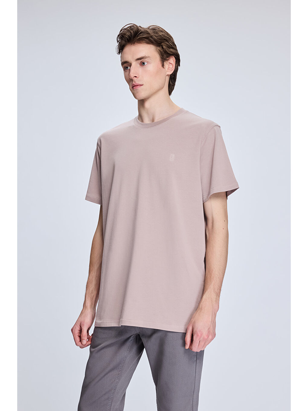 Pembe Gül Kurusu Regular Fit Bisiklet Yaka Pamuklu Triko Tişört-2