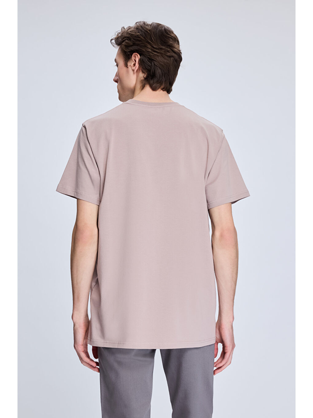 Pembe Gül Kurusu Regular Fit Bisiklet Yaka Pamuklu Triko Tişört-4