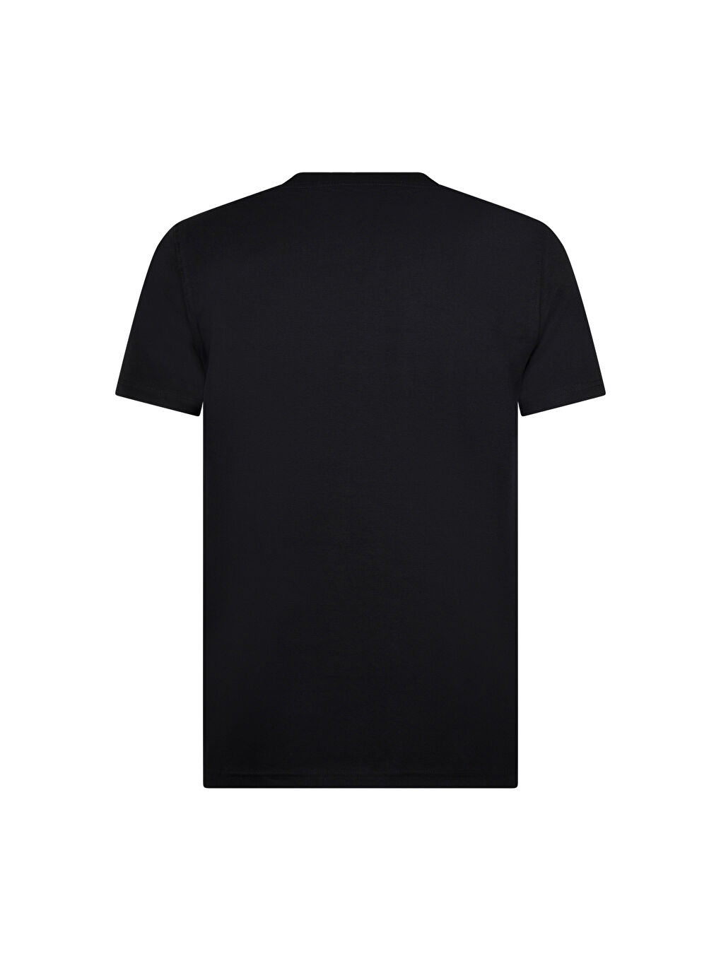 Siyah Regular Fit V Yaka Pamuklu Tişört-1