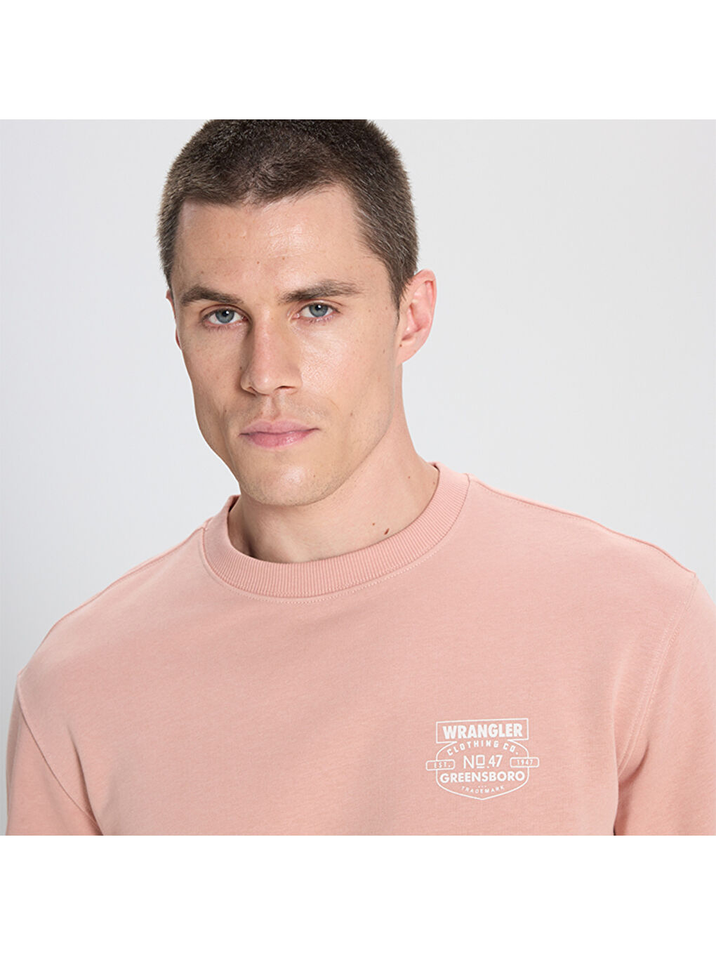 Wrangler Erkek Pembe Yuvarlak Yaka Sweatshirt - 2