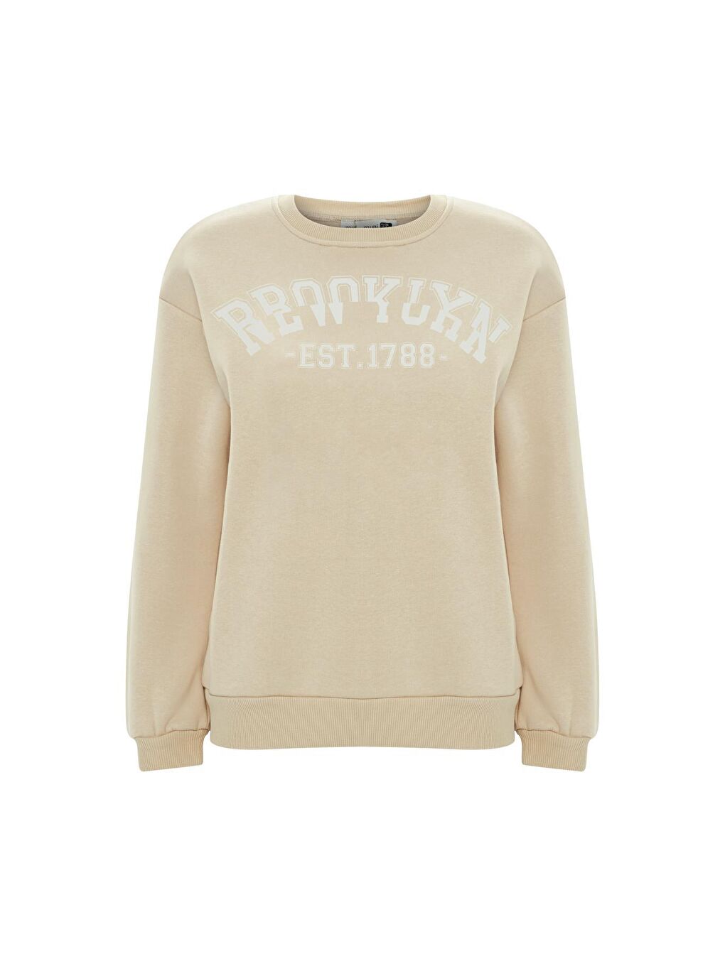 Baskılı Düz Renk Sweatshirt -Bej