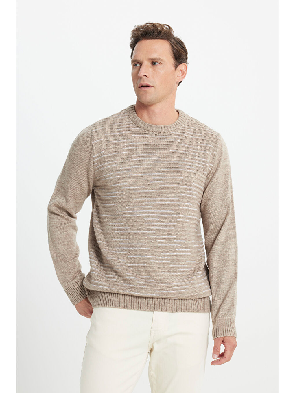 Sarı Erkek VIZON-KEMIK Standart Fit Normal Kesim Bisiklet Yaka Desenli Triko Kazak-2