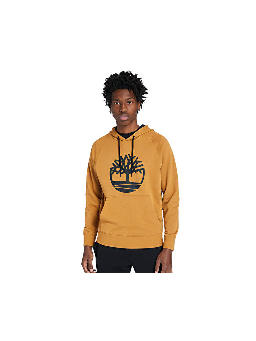 Core Logo P/o Hood Bb Erkek Günlük Sweatshirts Tb0a2bjhp57 Sarı-4