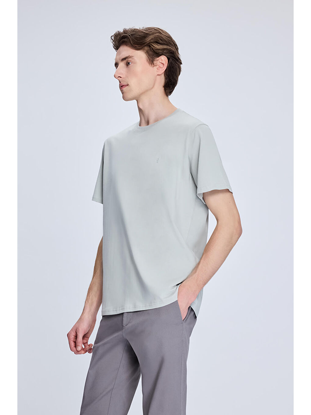 Gri Regular Fit Bisiklet Yaka Pamuklu Triko Tişört-2