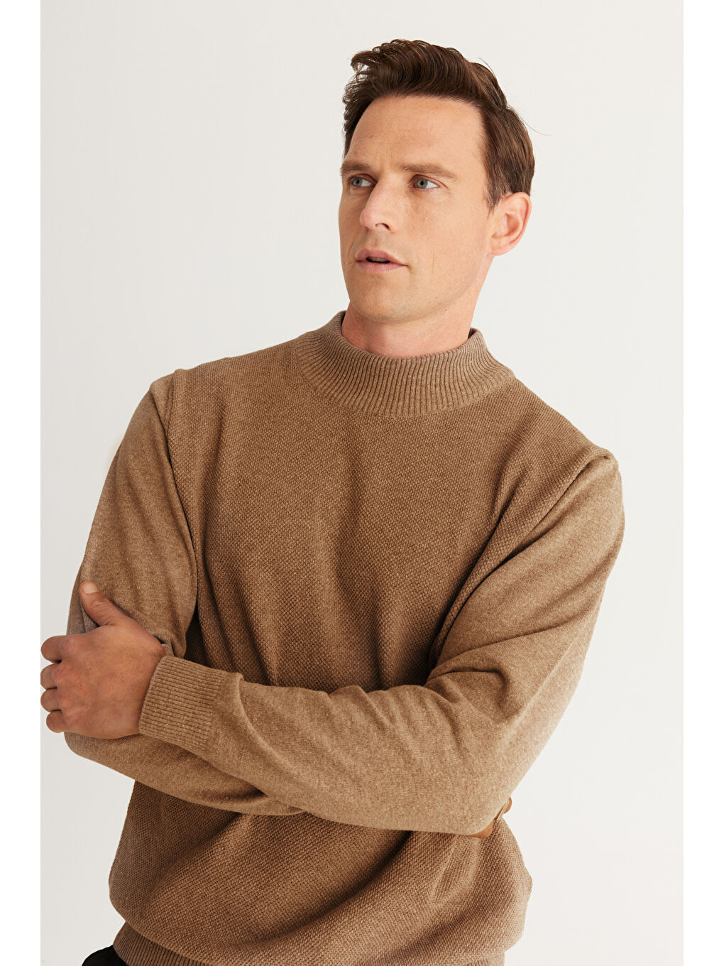 Bej Erkek Vizon Normal Kesim Yarım Balıkçı Yaka Pamuklu Triko-2