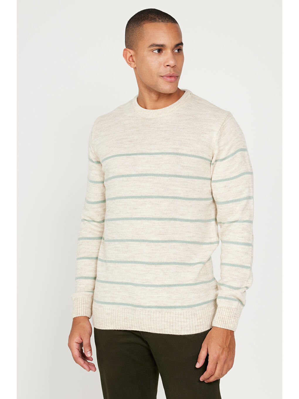 Bej Erkek BEJ-MINT Standart Fit Normal Kesim Bisiklet Yaka Çizgili Triko-2