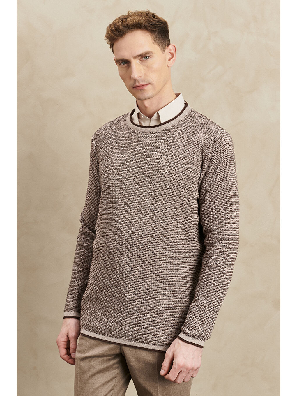 Erkek Bej-Kahve Recycle Standart Fit Normal Kesim Bisiklet Yaka Triko-2