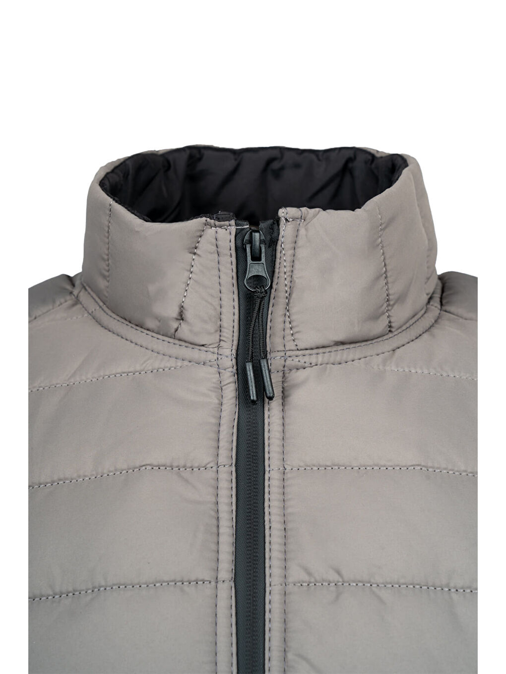 Bej Vizon Regular Fit Hakim Yaka Şişme Mont-2