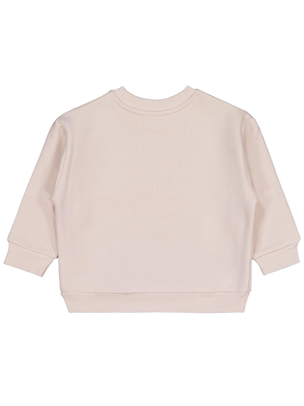 Boys Hey Ayı Baskılı 2-5 Yaş Sweatshirt - Bej-1
