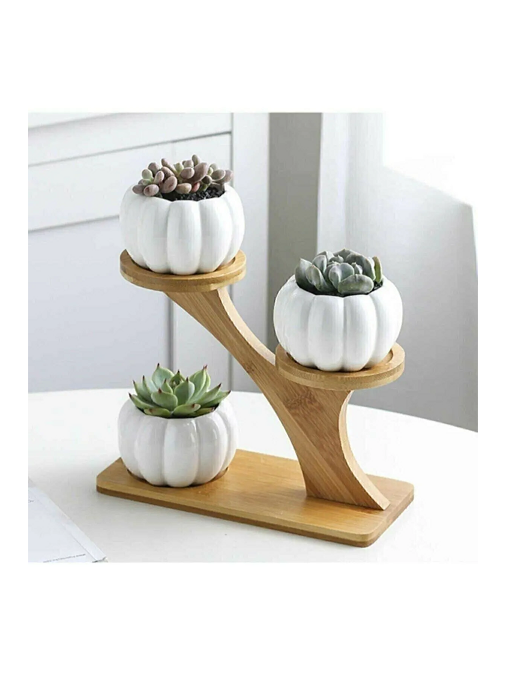 Beyaz Kabak Sukulent Ve Kaktüs Saksısı 3lü