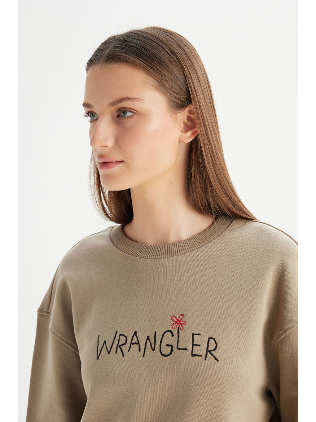 %100 Pamuk Relaxed Fit Geniş Bisiklet Yaka Bej Big Logo Sweatshirt-3