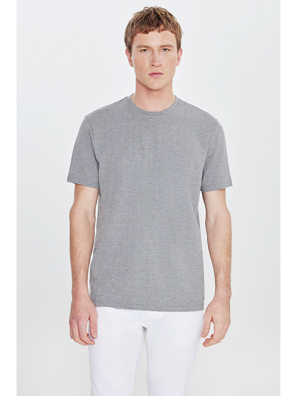 Erkek Gri Melanj Pamuklu Standart Fit Normal Kesim Bisiklet Yaka Esnek Tişört