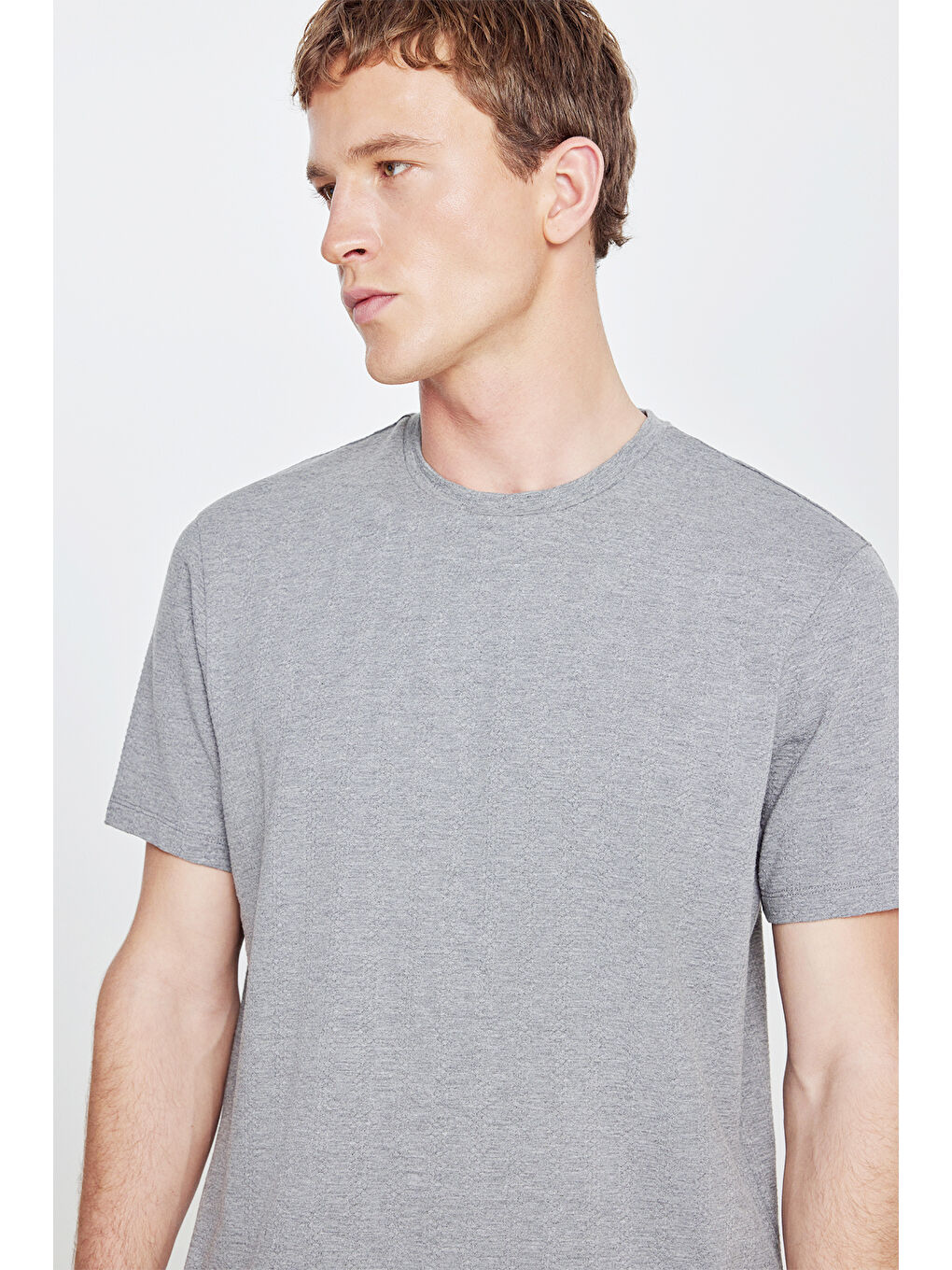Erkek Gri Melanj Pamuklu Standart Fit Normal Kesim Bisiklet Yaka Esnek Tişört-1
