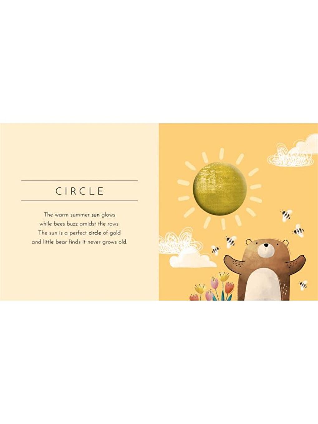 Touch and Feel - Shapes-2