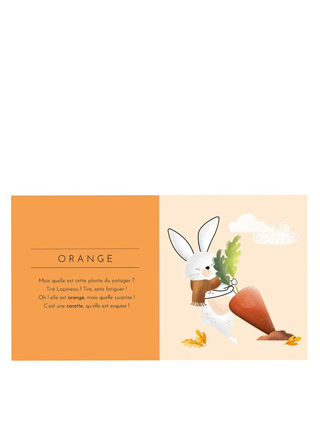 Touch and Feel - Colours-1