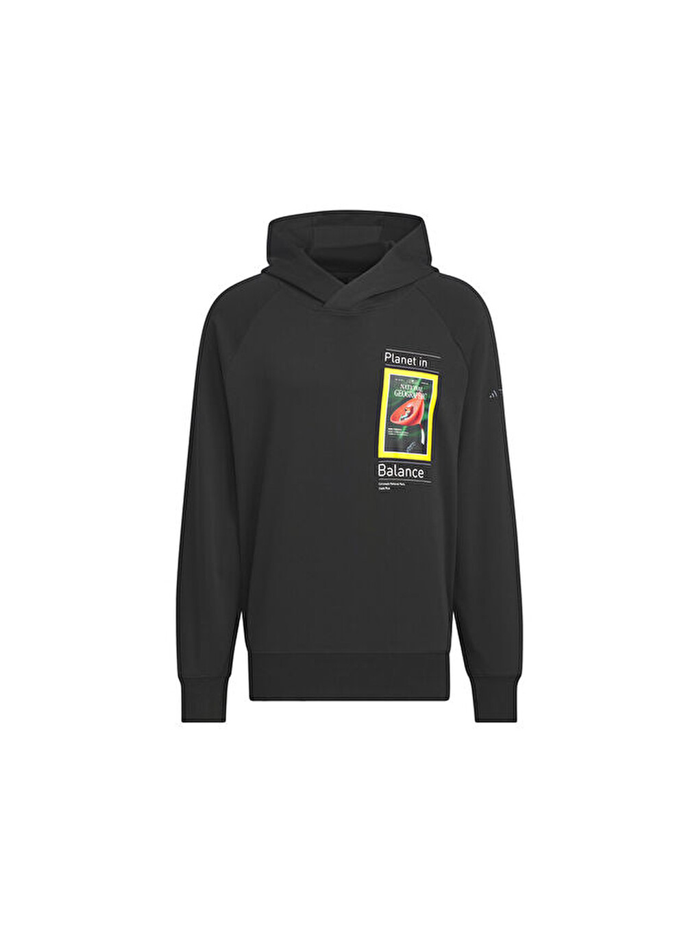 Natgeo Gfx Hdy Erkek Günlük Sweatshirts Is9524 Siyah-3