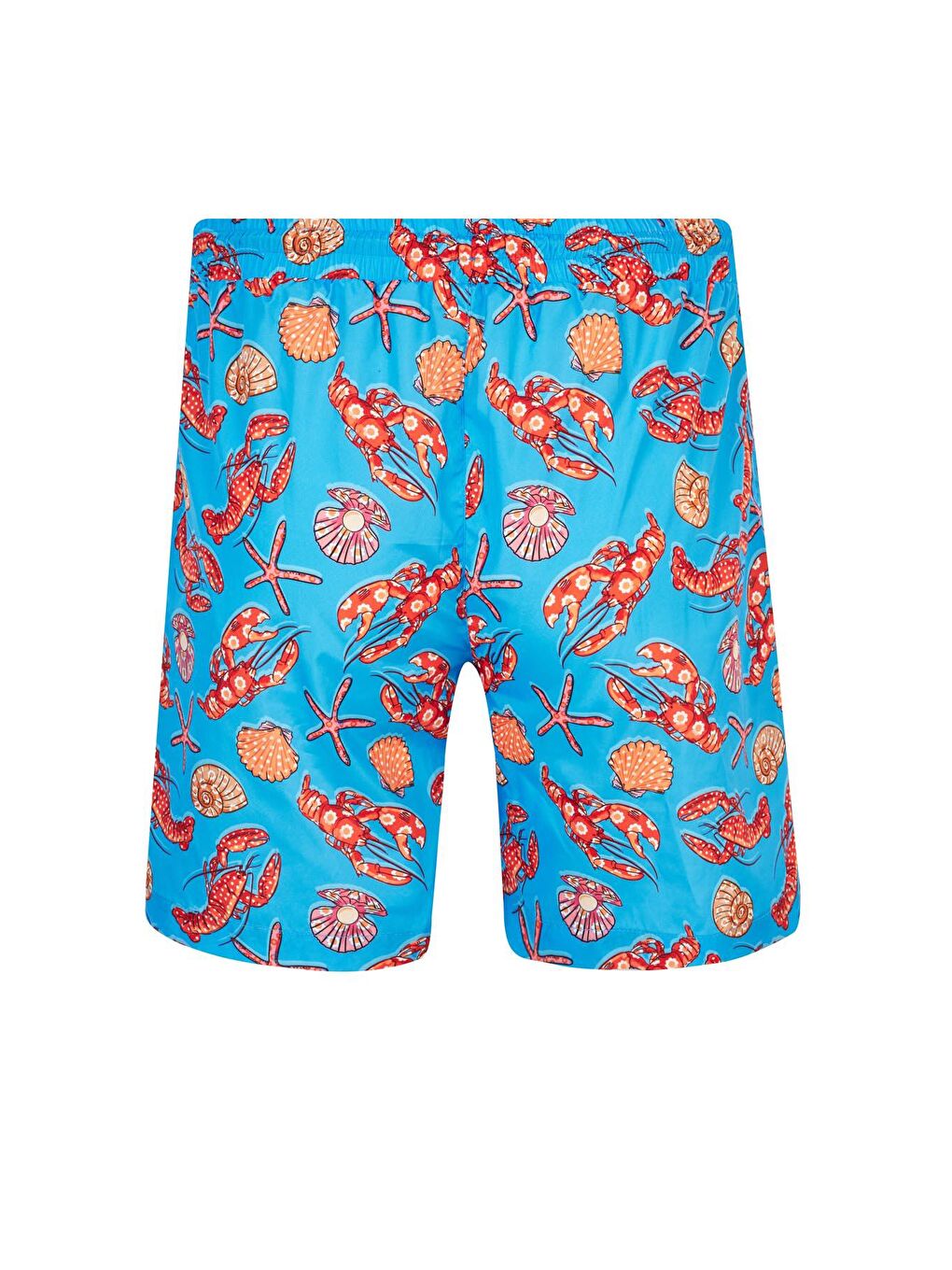 Mavi Erkek Deniz Havuz Şortu Desenli Hank S246 Turkuaz-1