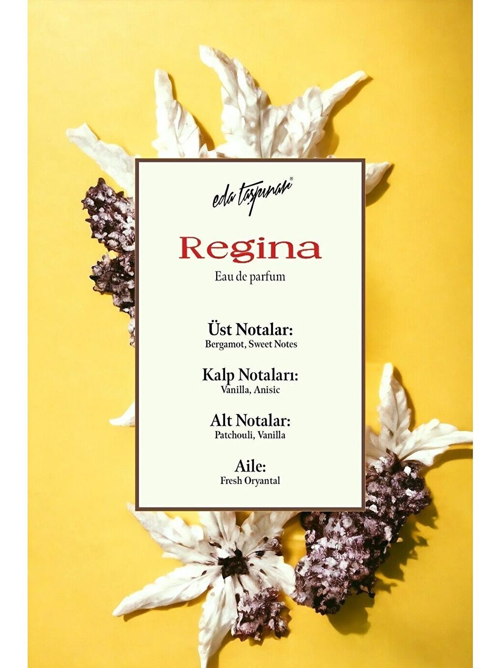 Regina Kadın Parfüm Edp - Oryantal  100 ml-3